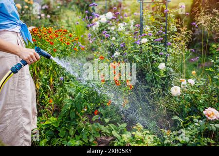 Gardener watering plants with hose pipe in summer garden on flower bed. Woman taking care of blooming plants. Gardening equipment Stock Photo