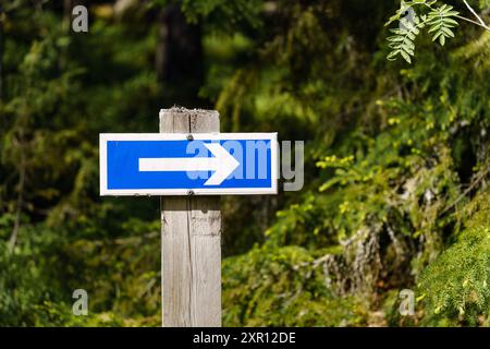 Blue sign with an arrow pointing right in the woods Stock Photo