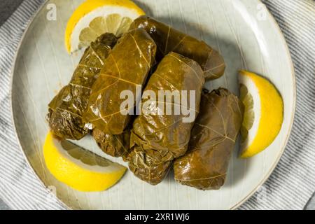 Healthy Greek Stuffed Grape Leaves with Lemon and Filling Stock Photo