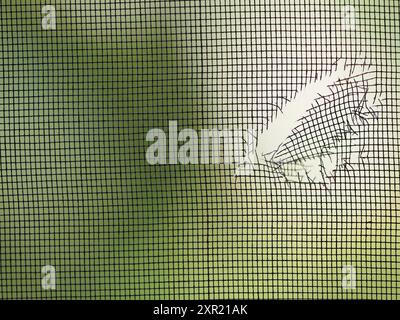 Damaged mosquito window screen. Close-up. Stock Photo