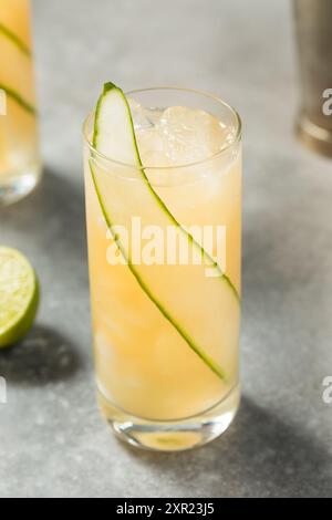 Cold Boozy English Garden Cocktail with Cucumber and Gin Stock Photo