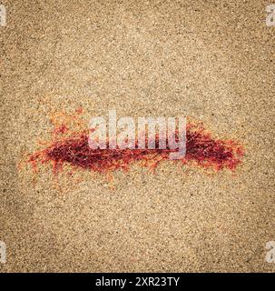 A square HDR image of a solitary patch of Red Seaweed, Ceramium virgatum, on a beach in South Uist, Outer Hebrides, Scotland. 30 July 2024 Stock Photo