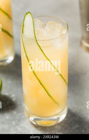 Cold Boozy English Garden Cocktail with Cucumber and Gin Stock Photo