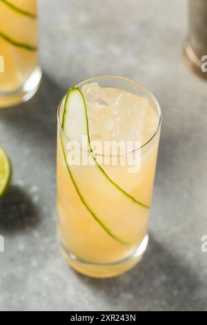 Cold Boozy English Garden Cocktail with Cucumber and Gin Stock Photo