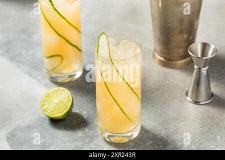 Cold Boozy English Garden Cocktail with Cucumber and Gin Stock Photo