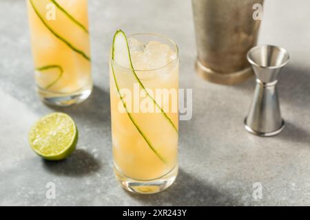 Cold Boozy English Garden Cocktail with Cucumber and Gin Stock Photo