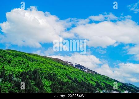 Snow on top of a Rocky Mountain with green trees and forests under a blue sky with white fluffy clouds in Alaska. Stock Photo