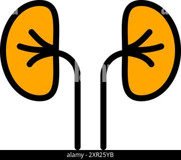 A pair of kidney organs with ureters color vector icon for apps and websites, isolated on white background. Stock Vector