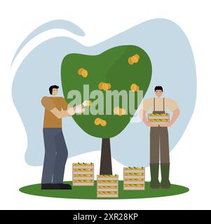 Men of different nationalities harvest peaches in wooden boxes. Flat style vector illustration on white background. Perfect for deal for autumn-themed Stock Vector