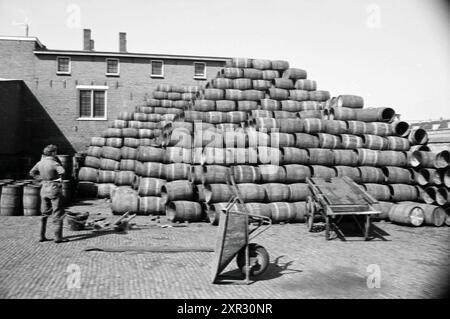 Lot of wooden barrels, Whizgle Dutch News: Historic Images Tailored for the Future. Explore The Netherlands past with modern perspectives through Dutch agency imagery. Bridging yesterday's events with tomorrow's insights. Embark on a timeless journey with stories that shape our future. Stock Photo