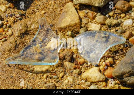 Dangerous broken glass on a beach or in a sandpit. Stock Photo