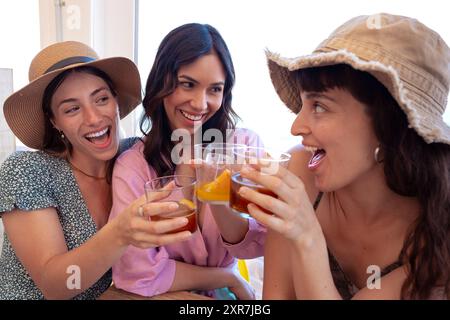 Three woman toasting ,dinner happy friends Stock Photo