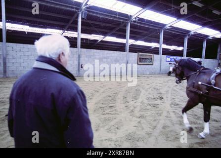 Driving a horse and cart in a riding school, Velsen-Zuid, 10-03-2001, Whizgle Dutch News: Historic Images Tailored for the Future. Explore The Netherlands past with modern perspectives through Dutch agency imagery. Bridging yesterday's events with tomorrow's insights. Embark on a timeless journey with stories that shape our future. Stock Photo