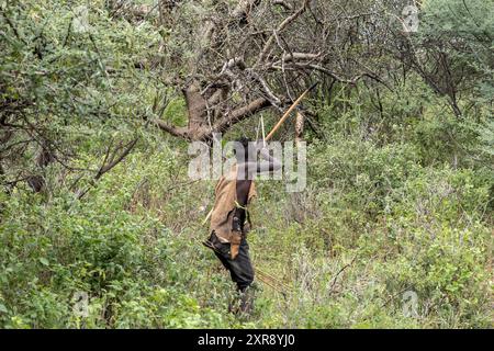 The hunt, the prey, Hadzabe tribe, hunter-gatherers, Tanzania Stock Photo