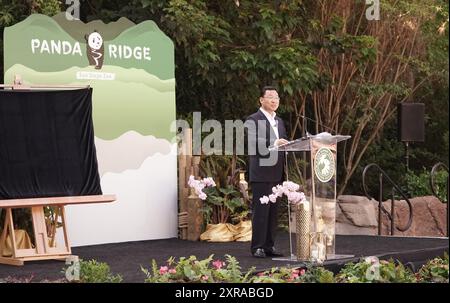 San Diego, California, USA. 8th Aug, 2024. Chinese Ambassador to the United States Xie Feng delivers a speech during the Panda Ridge opening ceremony at San Diego Zoo in San Diego, California, the United States on Aug. 8, 2024. TO GO WITH 'Feature: San Diego Zoo welcomes back beloved pandas on California Panda Day' Credit: Zeng Hui/Xinhua/Alamy Live News Stock Photo