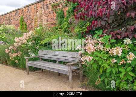 Large wooden bench surrounded by flowering plants in a walled garden. Stock Photo
