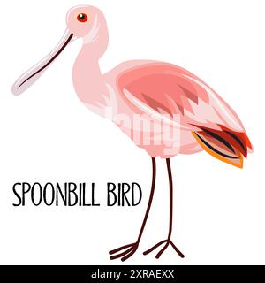 Roseate spoonbill bird. Exotic tropical bird isolated on white background. Colorful vector illustration. Stock Vector
