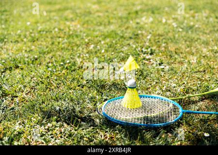 badminton rackets and shuttlecocks on green grass Stock Photo