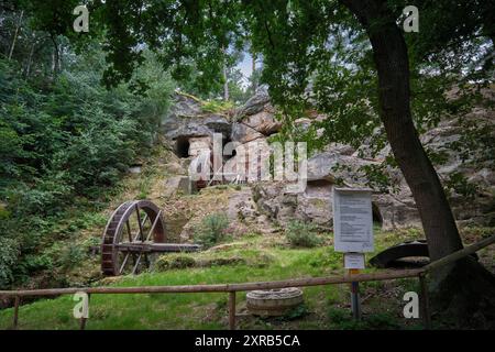 09.08.2024 Die Regensteinmühle bei Blankenburg im Landkreis Harz in Sachsen-Anhalt war eine wasserbetriebene Mahl- und Ölmühle unterhalb der Burg Regenstein. Die Mühle entstand in der ersten Hälfte des 12. Jahrhunderts zur Versorgung der Burg. Das Aufschlagwasser für die Mühlräder wurde über einen zwei Kilometer langen Mühlgraben zugeleitet, der von 1988 bis 1991 auf etwa 500 Meter Länge freigelegt wurde. Die Regensteinmühle war bis zum ausgehenden Mittelalter in Betrieb und danach zunehmendem Verfall ausgesetzt. Um 1990 erfolgte die Rekonstruktion der beiden Mühlräder. Im Jahr 2013 erfolgte e Stock Photo