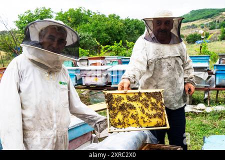 Rural beekeepers who collect honey from beehives Stock Photo