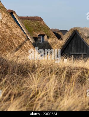 Vacation homes with thatched roofs, focus in the background Stock Photo