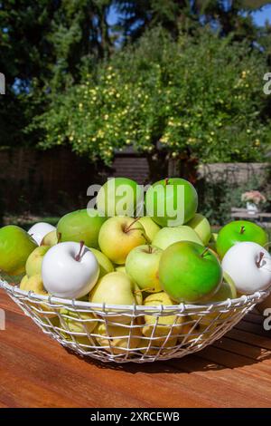 A white wire basket with artificial white and fresh green apples on a wooden table in the garden, an apple tree with apples stands blurred in the background Stock Photo