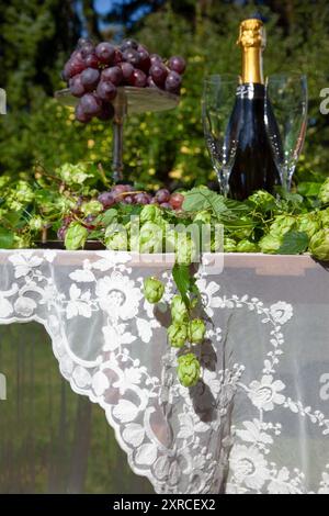 An arrangement with 2 champagne glasses and a champagne bottle next to red grapes and fresh beer hops as decoration on a white tablecloth, preparation for a festive celebration in the garden Stock Photo