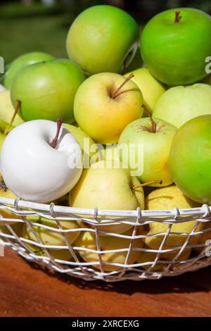 A white artificial plastic apple lies in a mix of green and light green apples in a wire basket on a brown wooden table in the sunlight Stock Photo