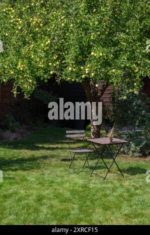 Favorite spot in the sun with garden chair and folding table under the apple tree in a garden in Berlin, Germany Stock Photo