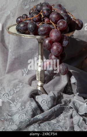 Still life with dark red grapes on a blue-grey transparent delicate lace blanket in the sunlight Stock Photo