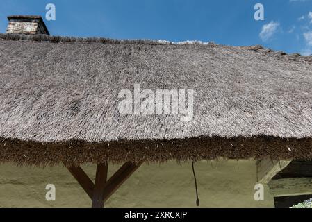 Old reed roof over blue sky background Stock Photo - Alamy