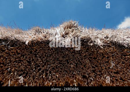 reed roof over blue sky background. Close up photo. Stock Photo