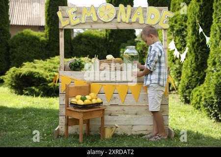 Cute boy pouring refreshing lemonade into paper cup in park Stock Photo