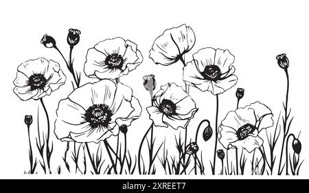 Vector line art with poppies. Black wall art. Monochrome floral background wallpaper. Flower ornament good for web, print and stencil. Stock Vector