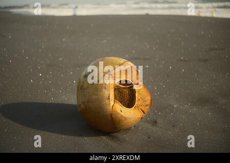The dried coconut husk is placed on black sandy beach in tropical sea island Stock Photo