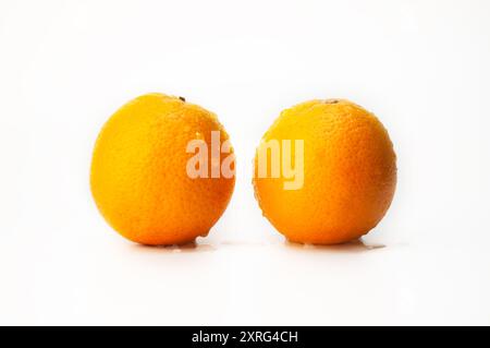 Two oranges are sitting on a white background. The oranges are wet and shiny. Concept of freshness and vitality Stock Photo
