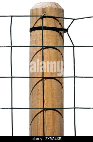 Mesh fence made of plasticized iron wire attached to a wooden post. Square pattern. Isolated on white background Stock Photo