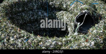 Coiled back plastic drainage pipe wrapped with artificial grass fibre, produced from residual waste from used artificial grass fields Stock Photo
