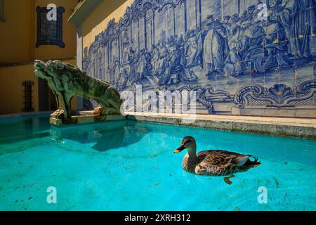 Cascais , Portugal. Duck swimming in a fountain in the park of the Condes de Castro Guimaraes Museum. March 27, 2017 Stock Photo