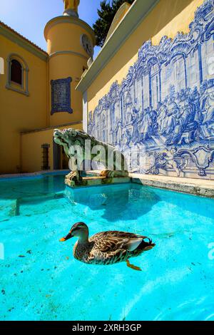 Cascais , Portugal. Duck swimming in a fountain in the park of the Condes de Castro Guimaraes Museum. March 27, 2017 Stock Photo