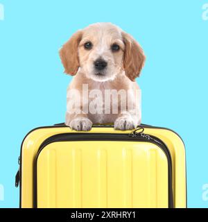 Cute puppy holding paws on yellow suitcase against light blue background Stock Photo