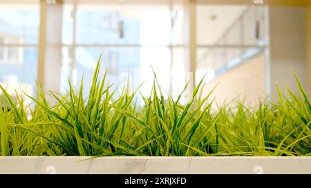 Fresh green grass growing in a modern indoor planter. Concept of bringing nature into workspace for wellbeing and productivity. Stock Photo