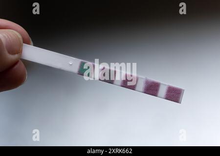 water hardness test strip indicating very hard water by turning purple, West Sussex, UK Stock Photo