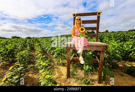 Crawley, West Sussex 11August 2024 Come and lose yourself in the beauty of our sprawling sunflower fields, spanning over 12 acres of the picturesque West Sussex countryside.With numerous 'Insta-worthy' photo spots scattered throughout Tulleys Sunflower Fields, for the whole month of August Turners Hill Road, Turners Hill, Crawley, West Sussex. Credit: Paul Quezada-Neiman/Alamy Live News Stock Photo