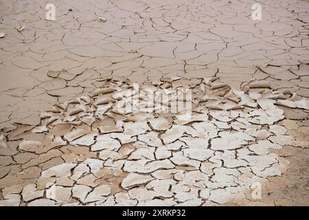 High-resolution image showcasing a detailed view of a dried and deeply cracked desert sand surface, highlighting natural earth patterns Stock Photo