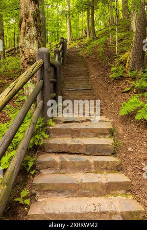 Stone steps on a hiking trail up a hill in the woods. Stock Photo