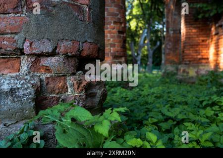 Old brick columns in the thick grass Stock Photo