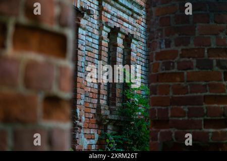 Vertical, old building windows through brick columns, framing Stock Photo