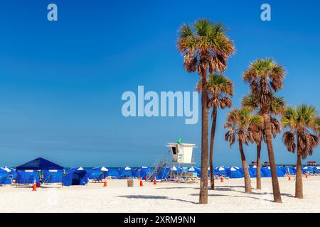 Beautiful Clearwater beach in sunny day with palm trees on white sand in Clearwater, Florida, USA Stock Photo