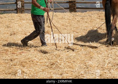 The farmer fanning wheat separating the wheat from the chaff, horse background Stock Photo